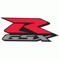 rgsx logo grigio scuro